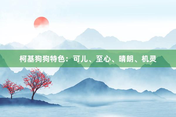 柯基狗狗特色：可儿、至心、晴朗、机灵